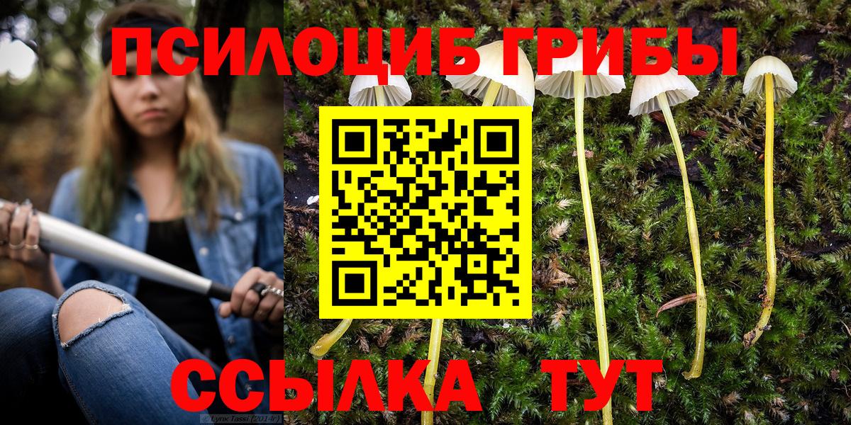 Галлюциногенные грибы MAGIC MUSHROOMS  Вход с VPN  Ростов Великий 