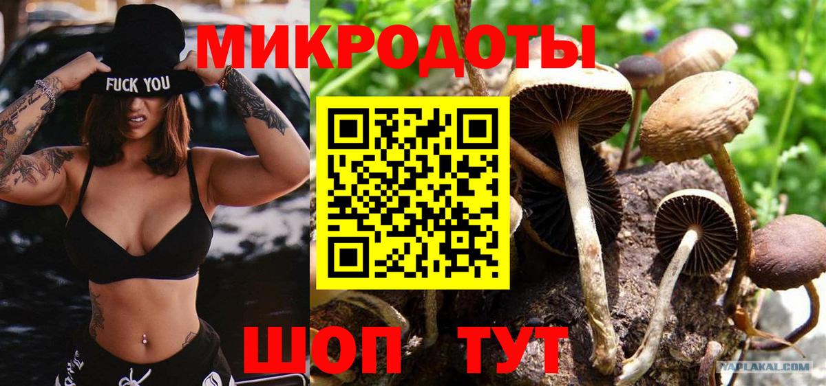 Галлюциногенные грибы мухоморы Ростов Великий